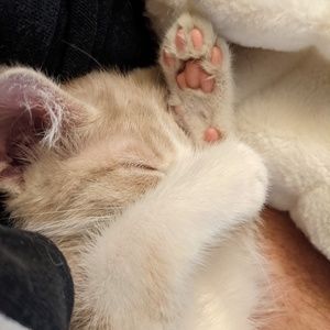 Meet your Posher, Michael